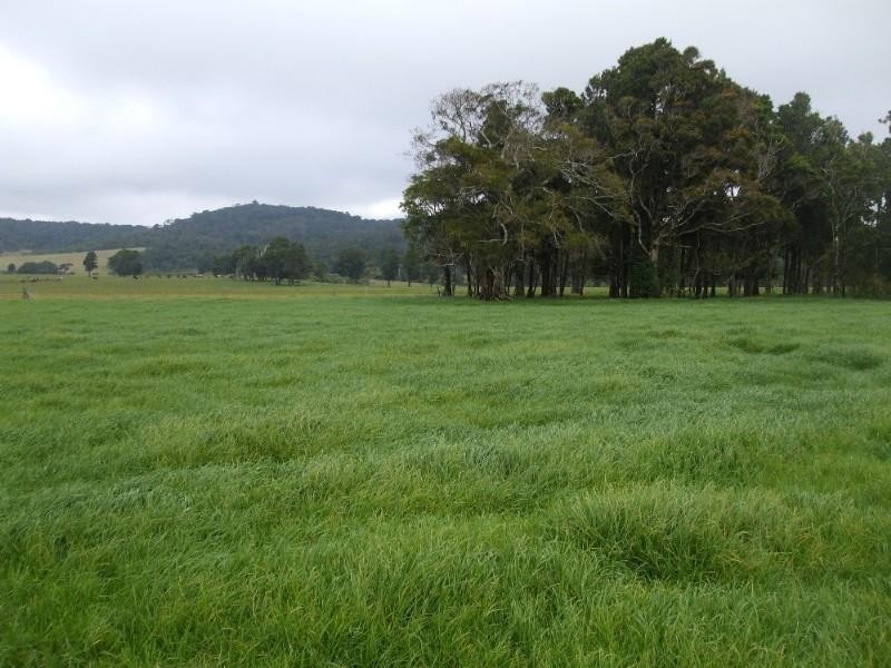 Ravenshoe QLD 4888