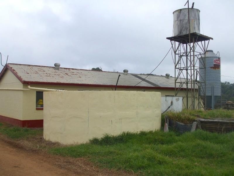 Ravenshoe QLD 4888