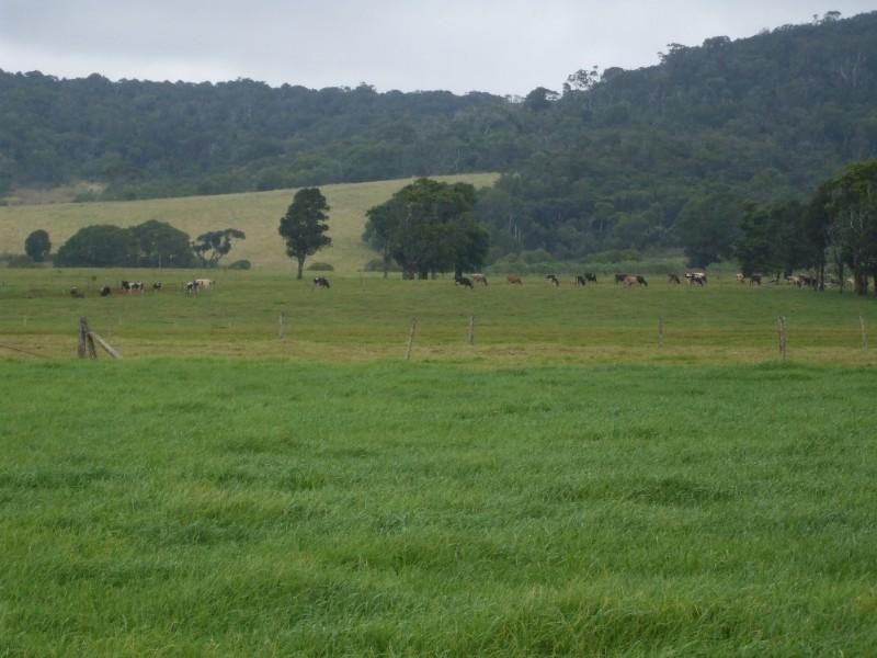 Ravenshoe QLD 4888