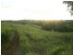 Topaz QLD 4885