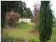 Atherton QLD 4883