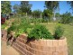 Tolga QLD 4882