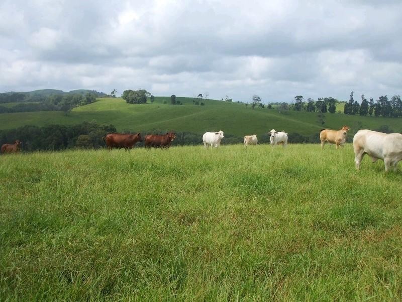 Malanda QLD 4885