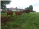 Malanda QLD 4885