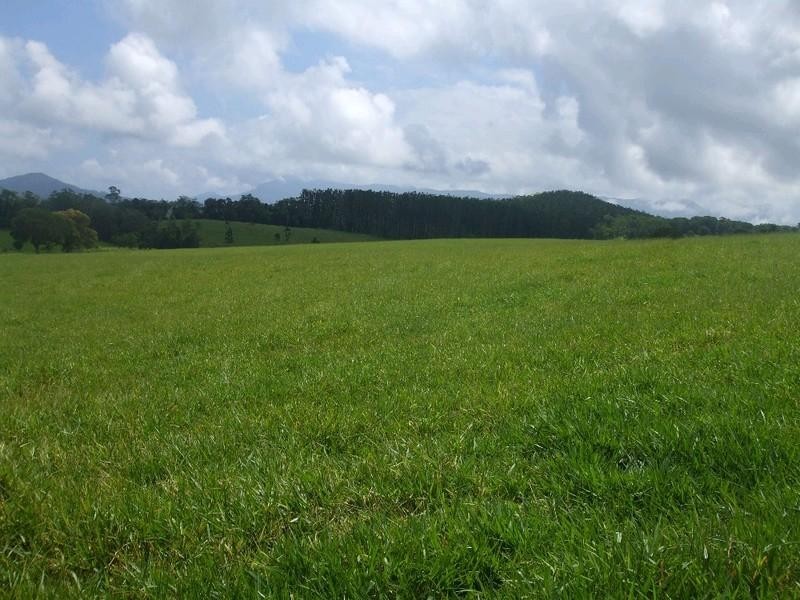 Malanda QLD 4885