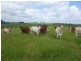 Malanda QLD 4885