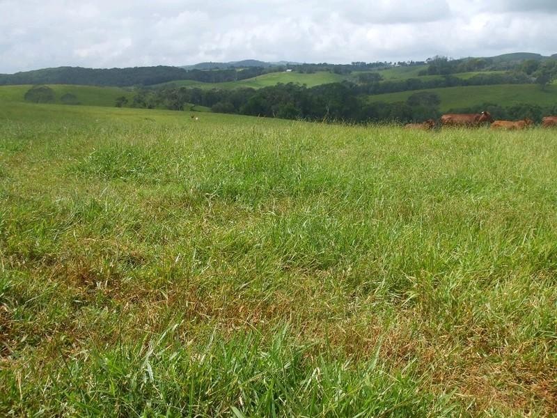 Malanda QLD 4885