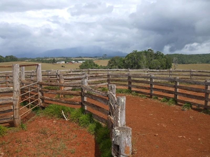 Malanda QLD 4885