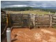 Malanda QLD 4885