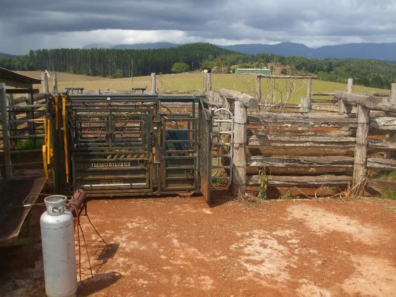Malanda QLD 4885