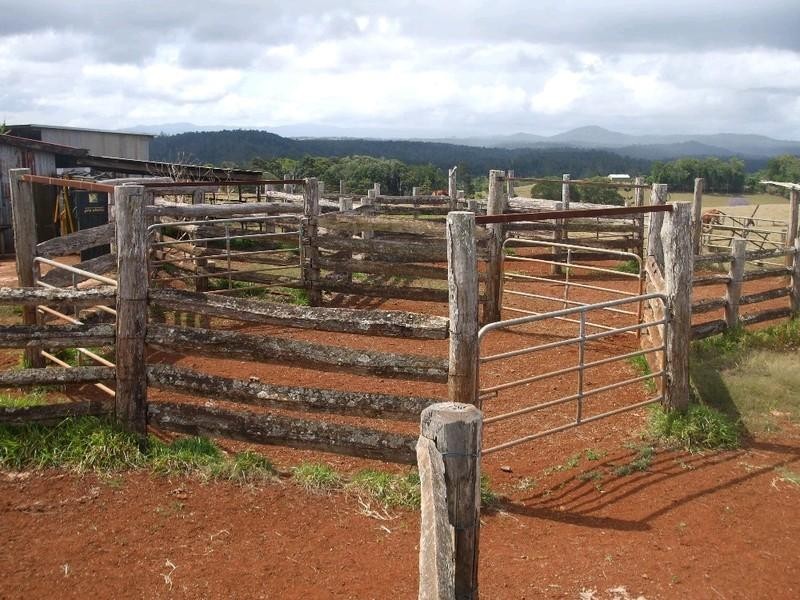 Malanda QLD 4885