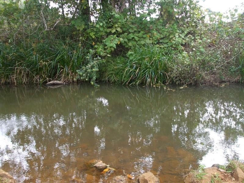 Malanda QLD 4885