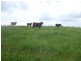 Malanda QLD 4885