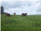 Malanda QLD 4885