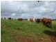 Malanda QLD 4885
