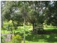 Yungaburra QLD 4884