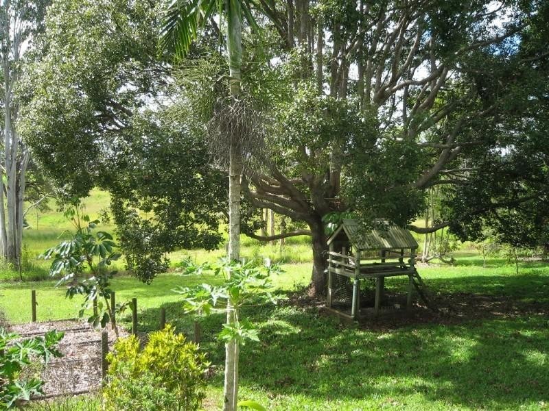 Yungaburra QLD 4884