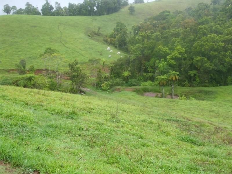 Millaa Millaa QLD 4886