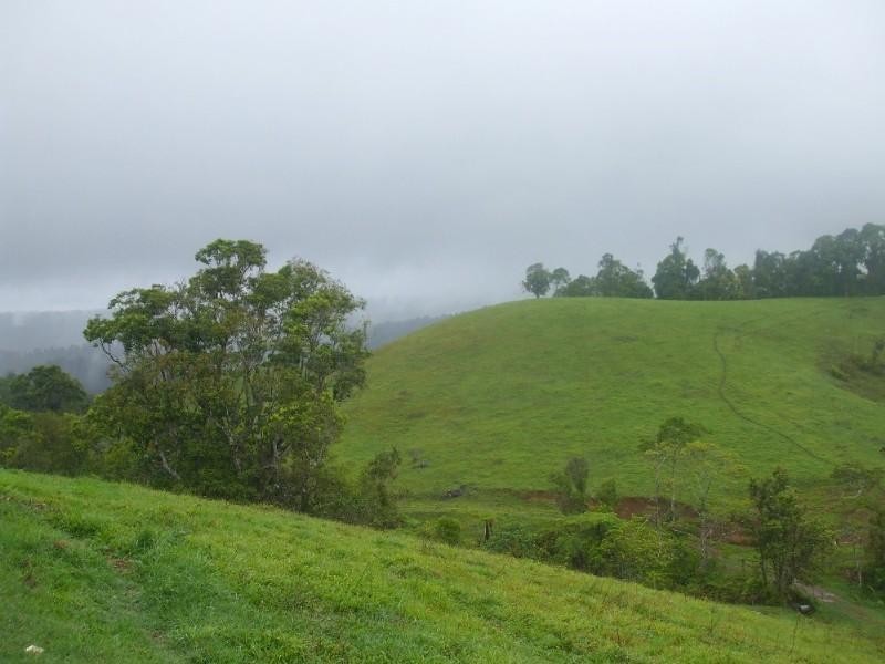 Millaa Millaa QLD 4886