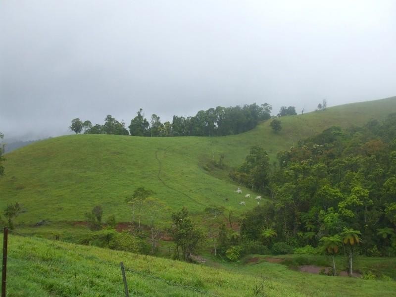 Millaa Millaa QLD 4886