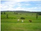 Yungaburra QLD 4884