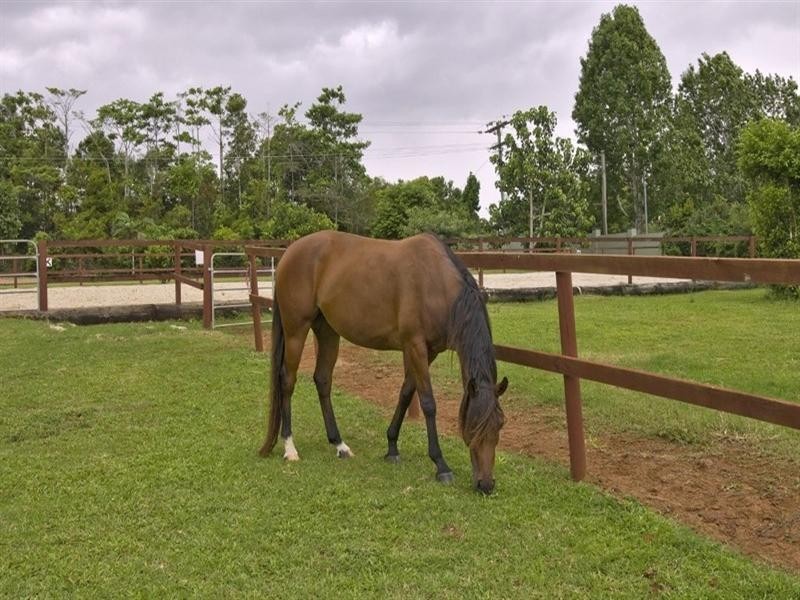 Malanda QLD 4885