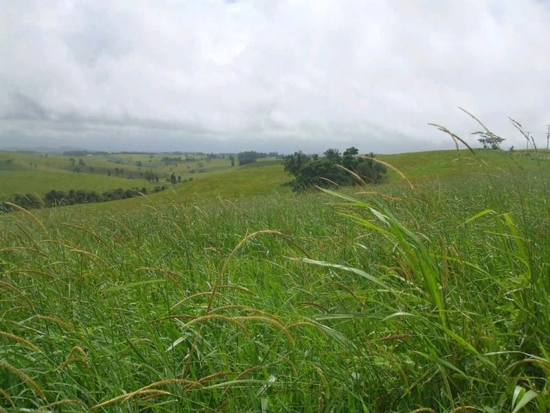 Jaggan QLD 4885
