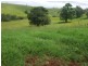 Jaggan QLD 4885