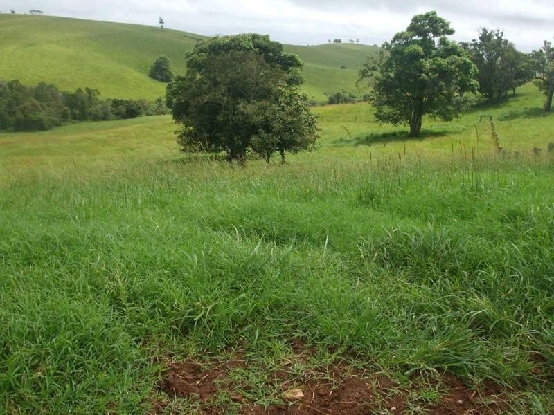 Jaggan QLD 4885