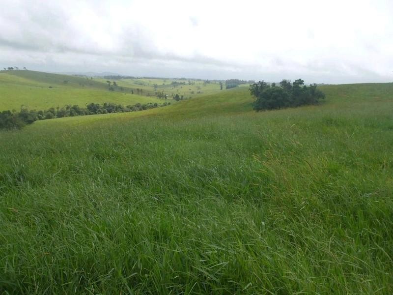 Jaggan QLD 4885