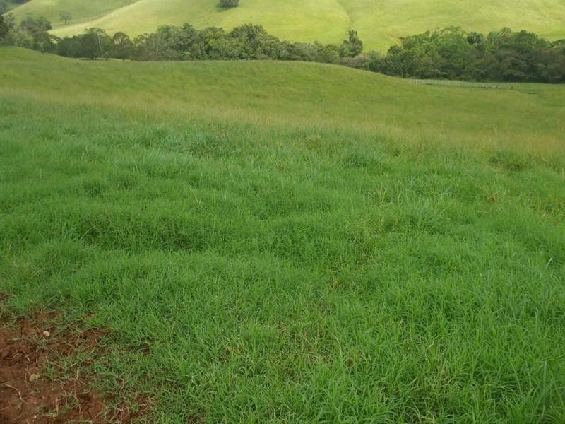 Jaggan QLD 4885