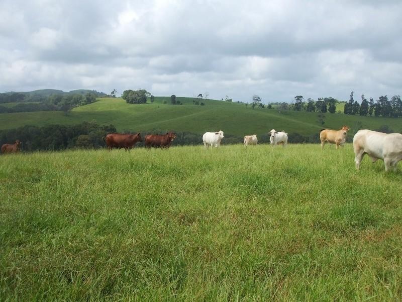 Malanda QLD 4885