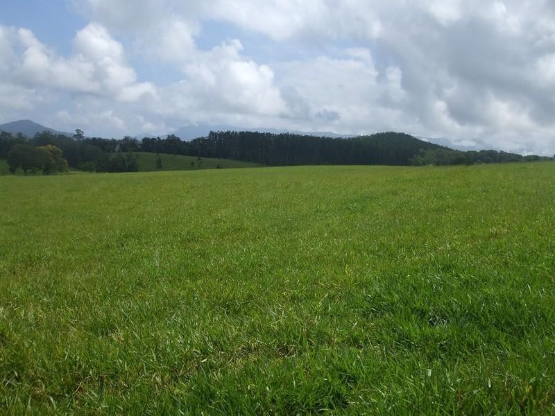 Malanda QLD 4885