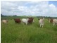 Malanda QLD 4885