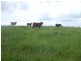 Malanda QLD 4885
