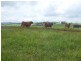 Malanda QLD 4885