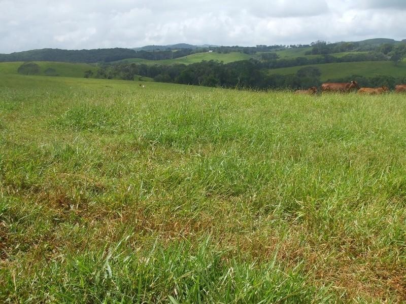 Malanda QLD 4885