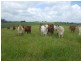 Malanda QLD 4885