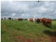 Malanda QLD 4885