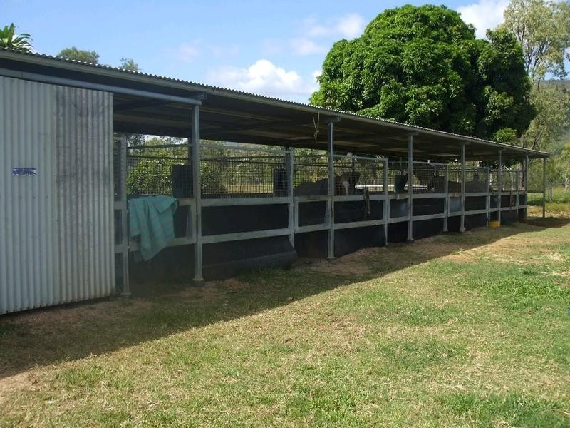 Walkamin QLD 4872
