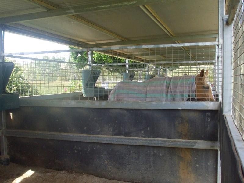 Walkamin QLD 4872