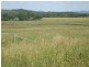 Walkamin QLD 4872