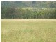 Walkamin QLD 4872