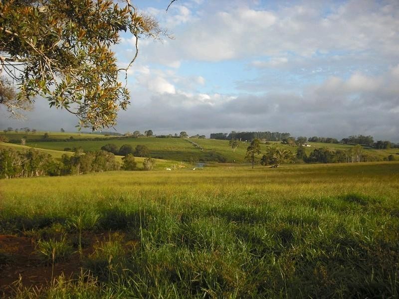 Lake Eacham QLD 4884