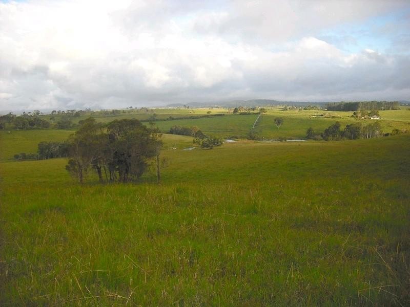 Lake Eacham QLD 4884
