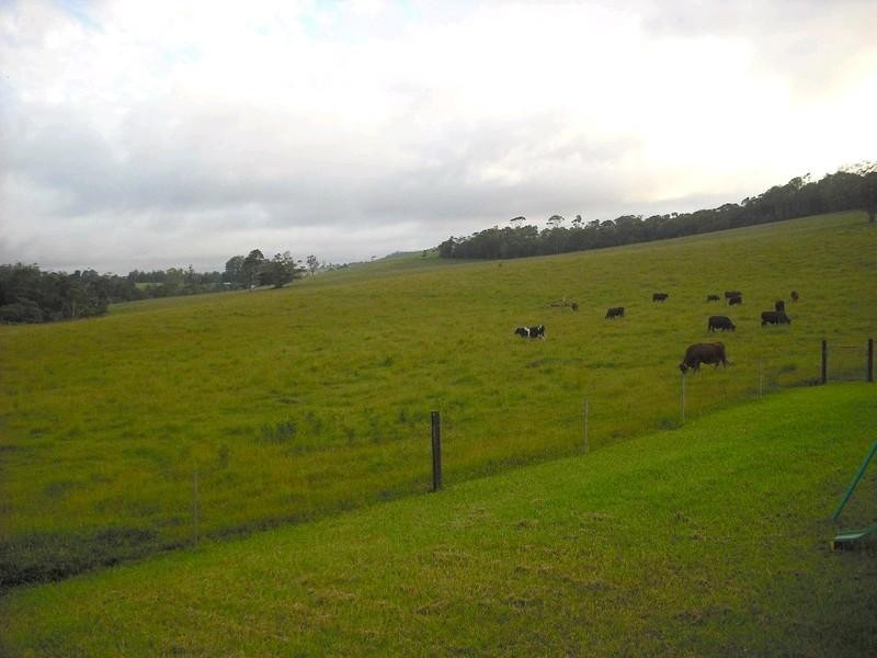 Lake Eacham QLD 4884