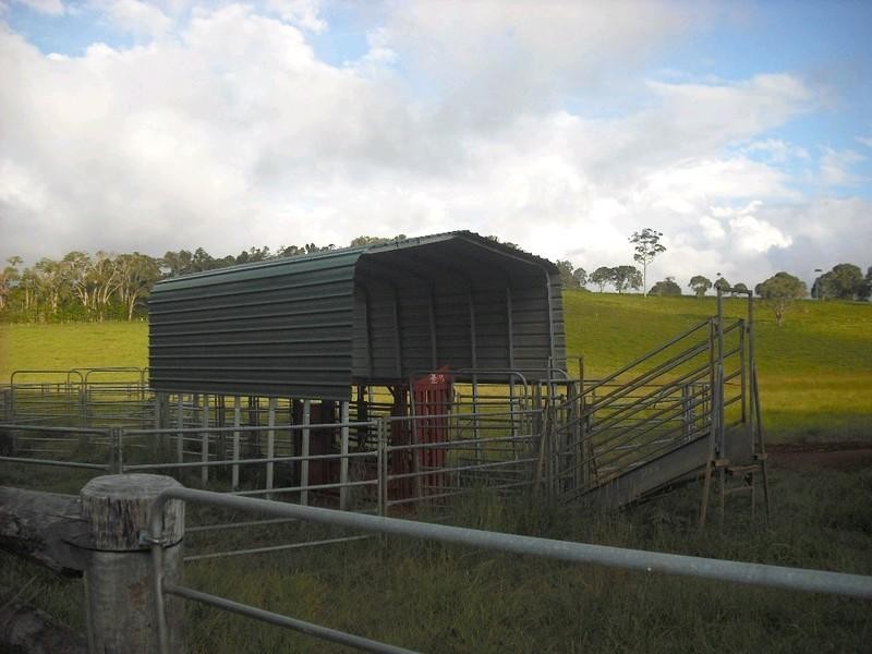 Lake Eacham QLD 4884