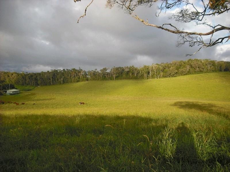 Lake Eacham QLD 4884