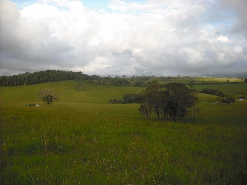 Lake Eacham QLD 4884