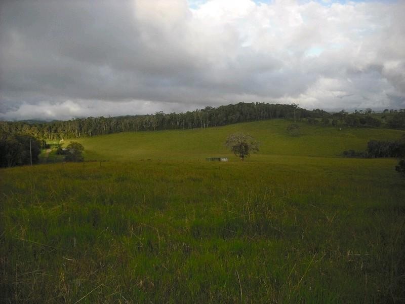 Lake Eacham QLD 4884